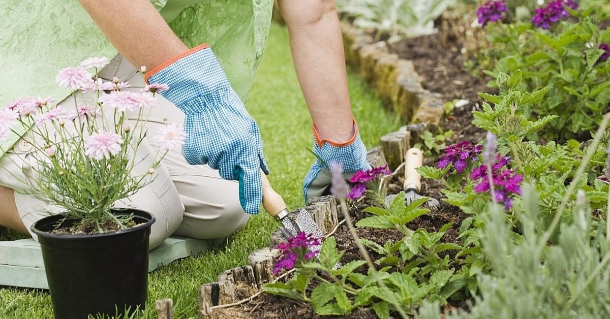 What Do I Need as a Beginner Gardener?